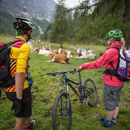 Lejlighed In Near Salzburg Alps Flachau